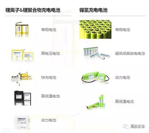 項目入駐 高勝咨詢進駐美國上市公司豪鵬科技,共謀發(fā)展,譜寫輝煌新篇章
