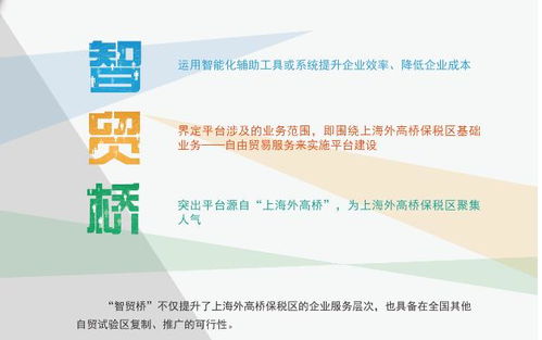 智貿橋 上線,外高橋智能服務平臺再添新翼